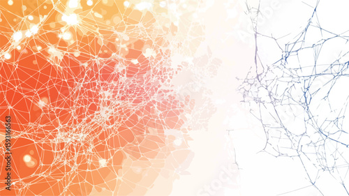 Wide Angle Spiderweb Contrast Photography