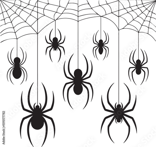 Spider web and spider. Vector illustration.