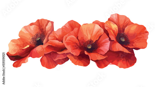 Vibrant Red Poppy Flowers Illustration