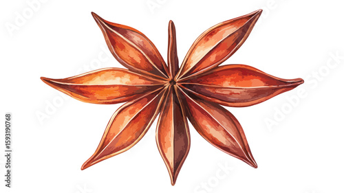 Star Anise Watercolor Illustration