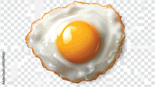 Perfect Sunny Side Up Egg Illustration