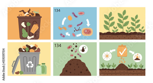 Composting Process Illustration Showing Decomposition and Soil Enrichment Stages