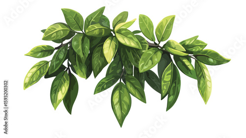 Tree Branch Leaves Icon Centered Composition