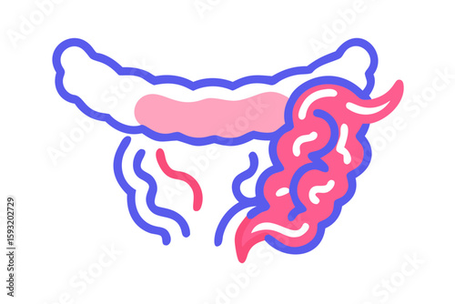 Stylized illustration of human intestines with a pink and blue color scheme isolated on white background