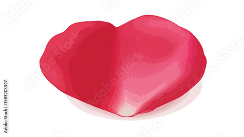 Valentine Rose Petal Close-Up Shot