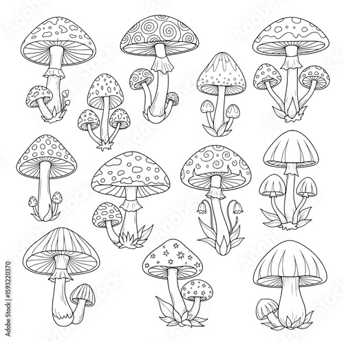 vector illustration outline of mushrooms linework SVG