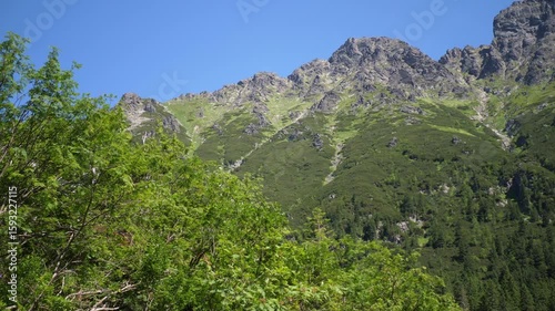 Wide panoramic shot of the Tatra Mountains under a clear blue sky. Majestic rocky peaks and green slopes bask in bright summer sunlight. Calm weather, scenic natural landscape.