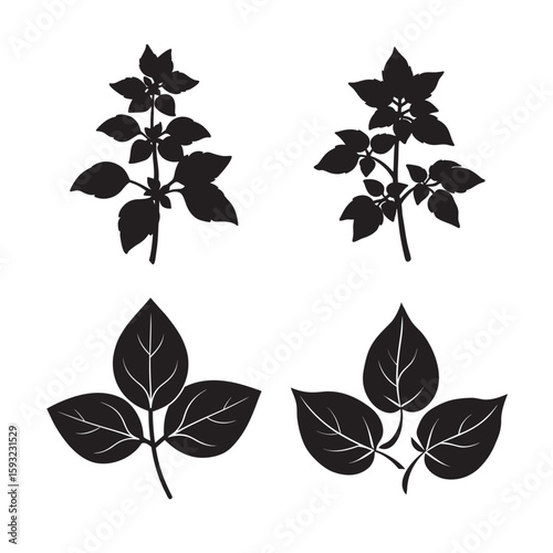 silhouette basil sprig set bundle on white background