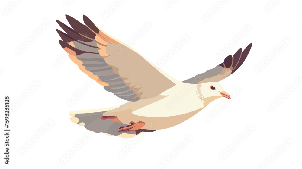 Obraz premium Elegant White Pigeon in Flight