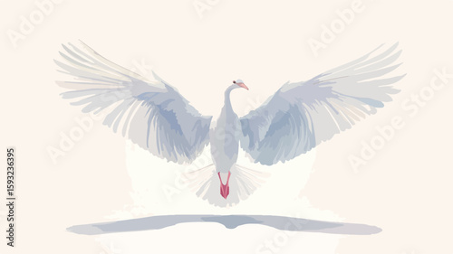 Elegant Angel Wings on White Background