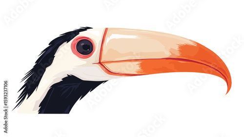 Bird Beak Close-up Wildlife Photography