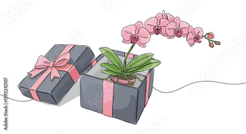 Orchid flower in pot in gift box with bow – one line doodle drawing with watercolor fill, minimalistic vector illustration on white background

