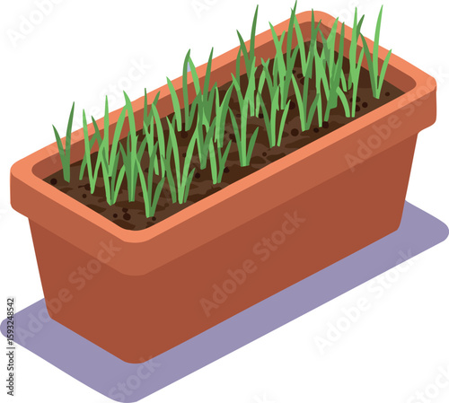 Indoor planter box with green grass sprouts healthy growing plants container design vector illustration