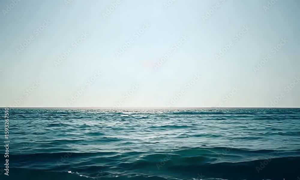 A calm ocean horizon with subtle wave motion and seashells in the corners