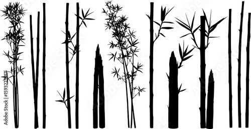 bambus silhouettes volume 1
