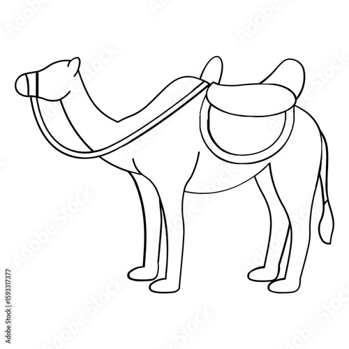 Dromedary camel animal line style element