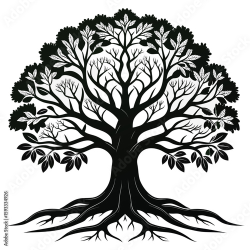  Pure black design of a large oak tree with branching limbs and visible roots, isolated on white background 