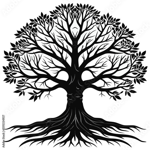  Pure black design of a large oak tree with branching limbs and visible roots, isolated on white background 