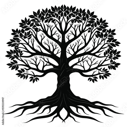  Pure black design of a large oak tree with branching limbs and visible roots, isolated on white background 