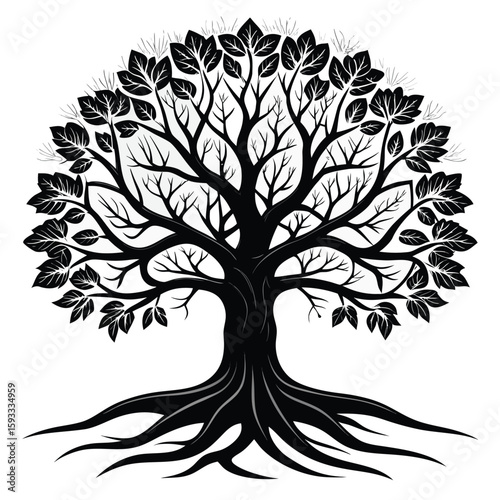  Pure black design of a large oak tree with branching limbs and visible roots, isolated on white background 