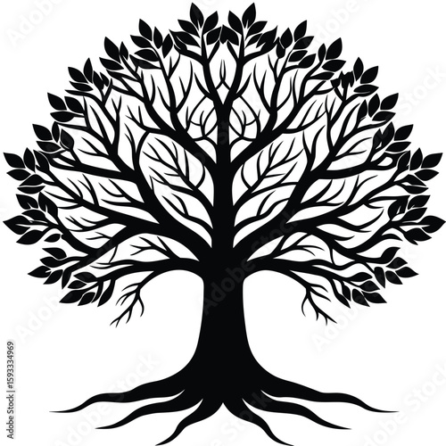  Pure black design of a large oak tree with branching limbs and visible roots, isolated on white background 