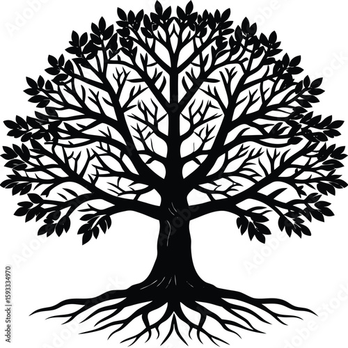  Pure black design of a large oak tree with branching limbs and visible roots, isolated on white background 