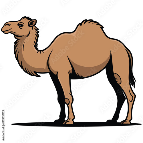 camel cartoon illustration