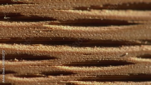 Macro Photography of Wood Grain Texture:  Close-up view revealing intricate details of layered wood, showcasing natural patterns and warm tones.
