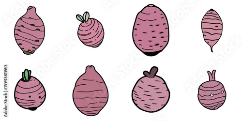 Multiple vector illustrations of taro with doodle-like drawings

