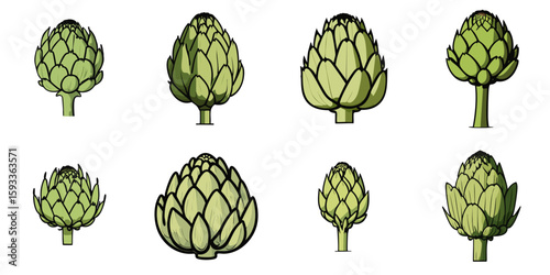 Multiple vector illustrations of artichoke with doodle-like drawings

