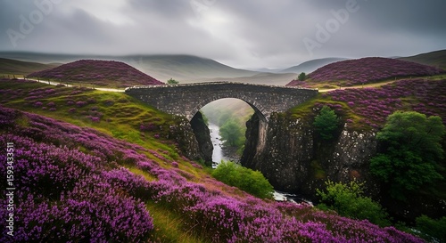 Highland Bridge in Bloom: Heather-Covered Hills and Misty Scottish Landscape.