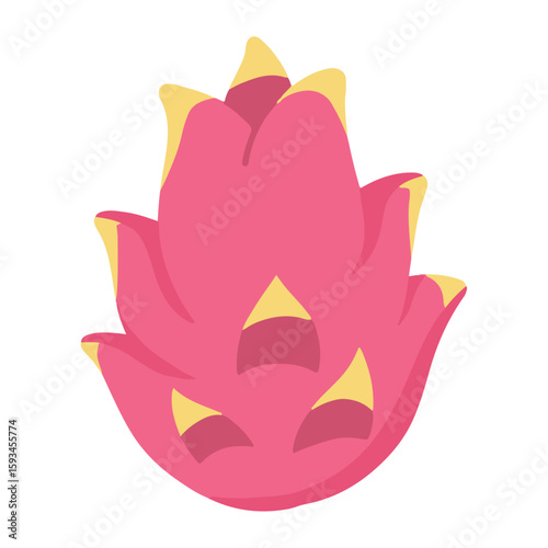 Handmade Dragon Fruit Icon Illustration