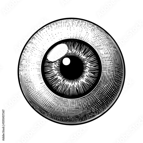 Human eyeball engraving black and white outline. Scratch board imitation.  illustrated in vintage line art style on a white background.