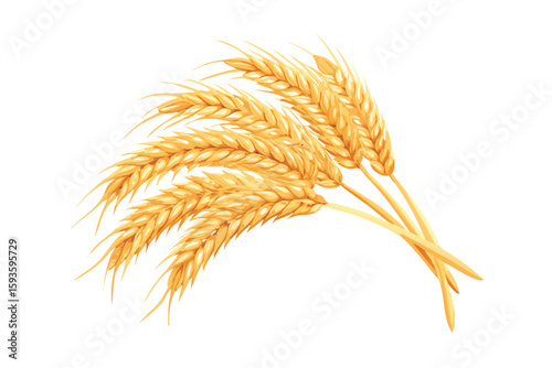 Photorealistic Wheat Ears Vector Illustration. Golden Bundle for Bakery and Agricultural Branding