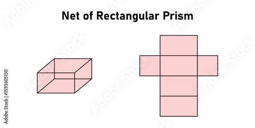 Net of Rectangular Prism in Mathematics.
