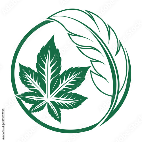 Cannabis Sativa and Hemp Leaves in Circle for Natural Products and Wellness