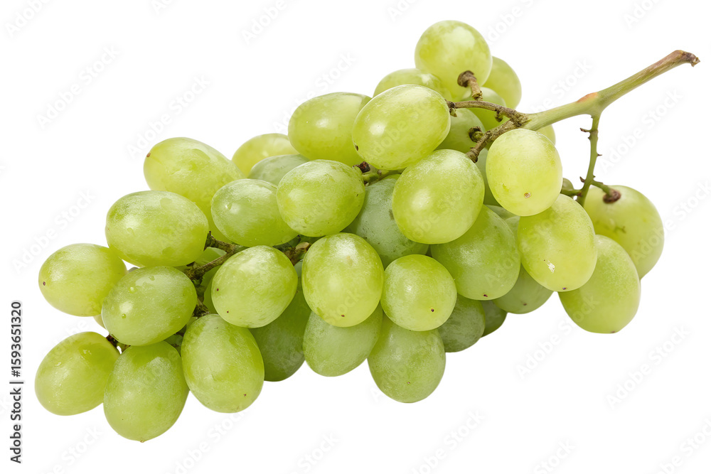 Bunch of Green Grapes Isolated Bunch of Green Grapes Isolated