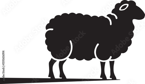 Silhouette of a fluffy sheep casting a long shadow on a white background