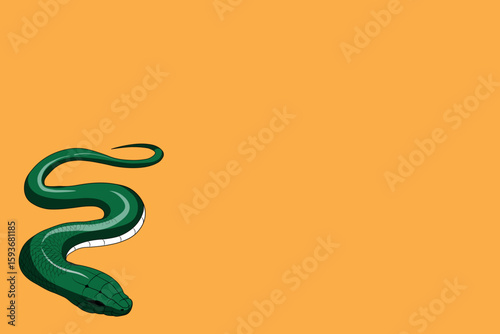 llustration of a Green Snake on a Vibrant Orange Background