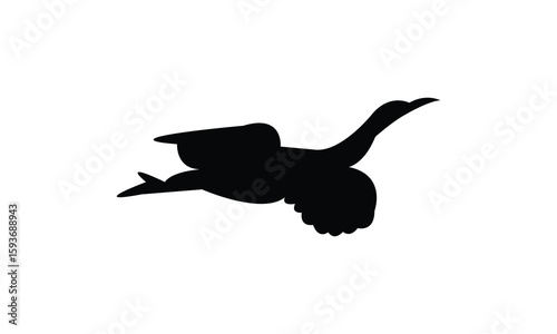 Flying American bittern bird Silhouette Design  And Vector Illustration. 