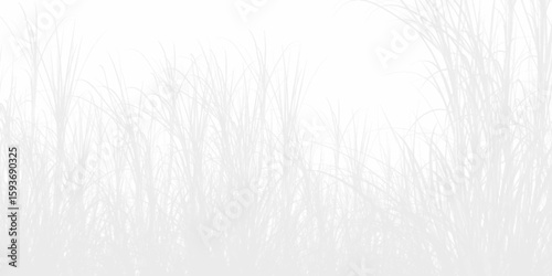 Abstract white fur background. Vector template for placards, Transparent blurry shadow of tropical natural leaves sunlight. Minimal abstract background for product presentation. Spring and summer. 