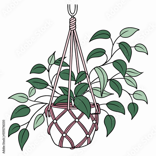 Green potted plant in a pink macrame hanger