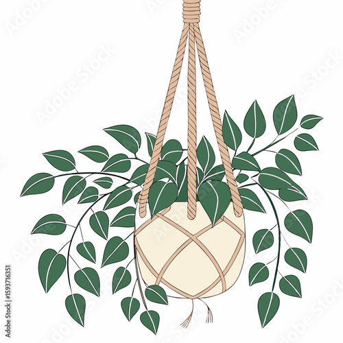 Hanging macrame plant holder with green leaves