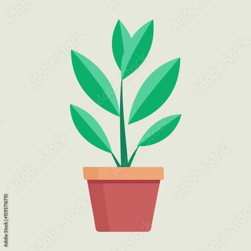 Green houseplant in a red pot