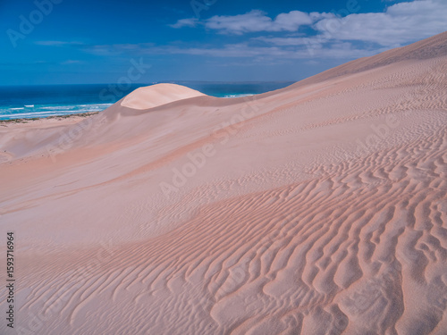 Sand Dunes by the Sea