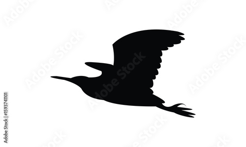 Flying American bittern bird Silhouette Design  And Vector Illustration. 