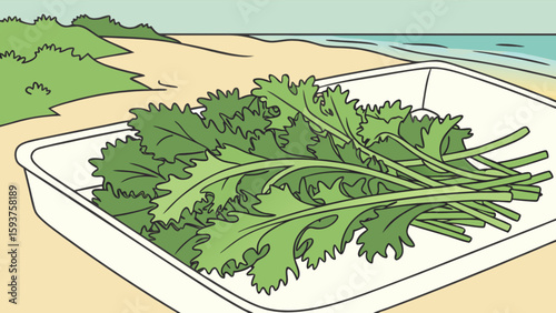Fresh mustard greens leaves in tray on beach for healthy salad ingredient and vegan recipe idea concept