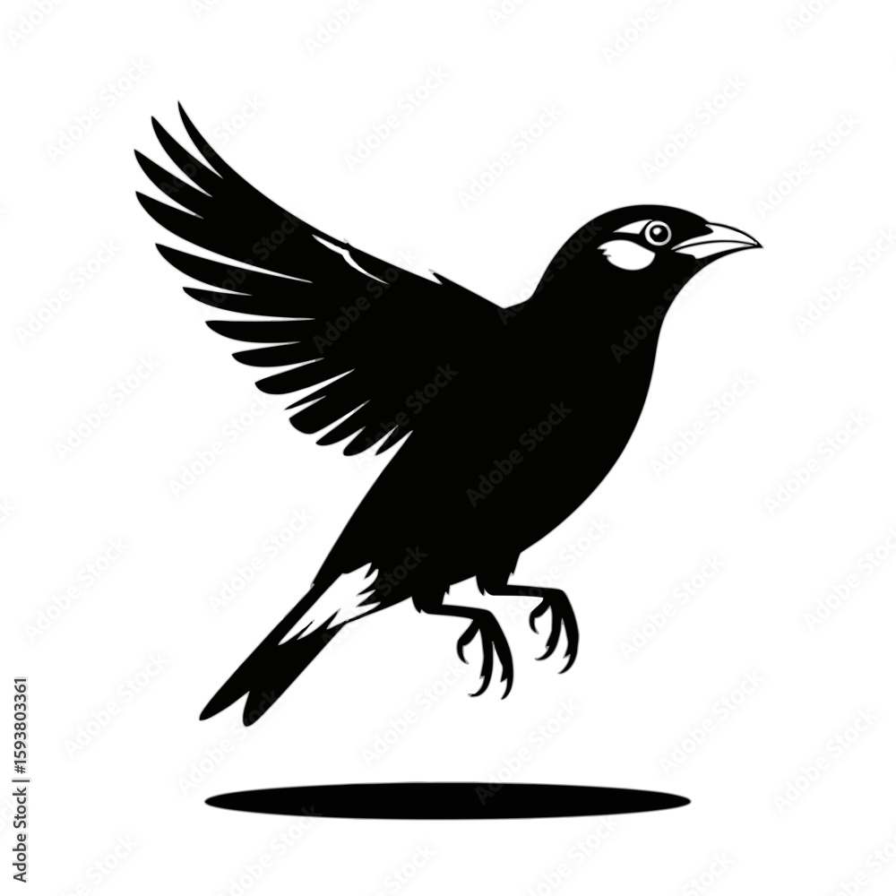 Obraz premium Bird in flight silhouette flying wings