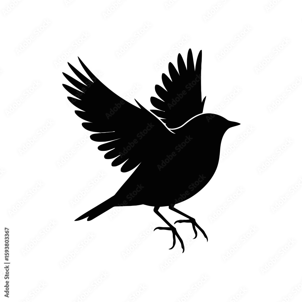Fototapeta premium Bird in flight silhouette flying wings