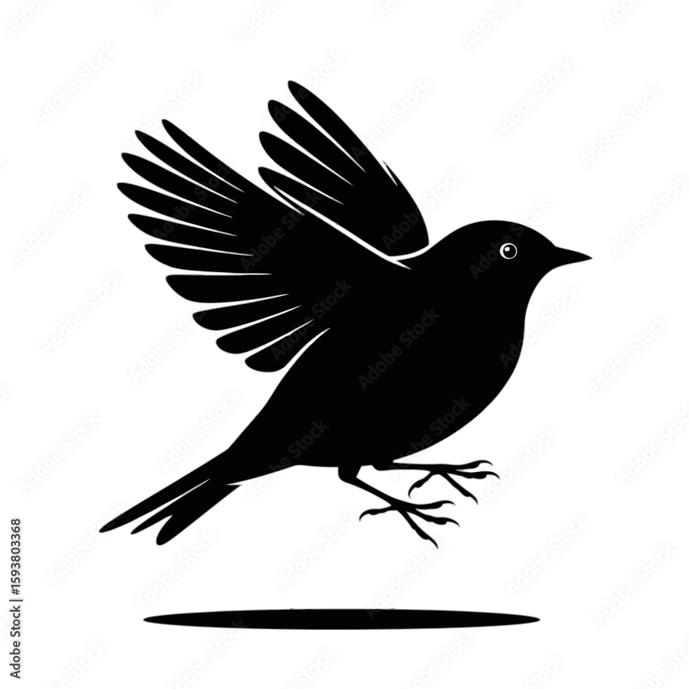 Fototapeta premium Bird in Flight Silhouette flying wings